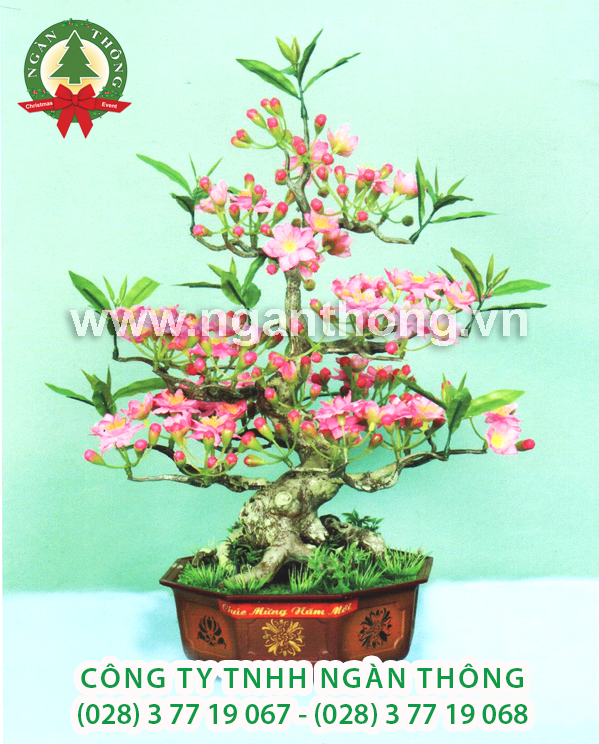 CÂY ĐÀO BONSAI BDB (50CM)