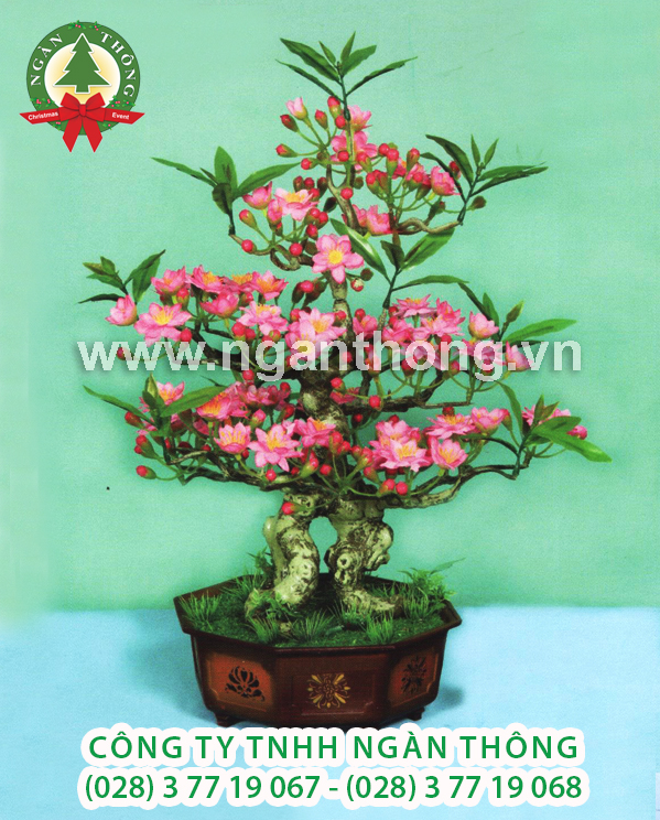 CÂY ĐÀO BONSAI BD2 (52CM)