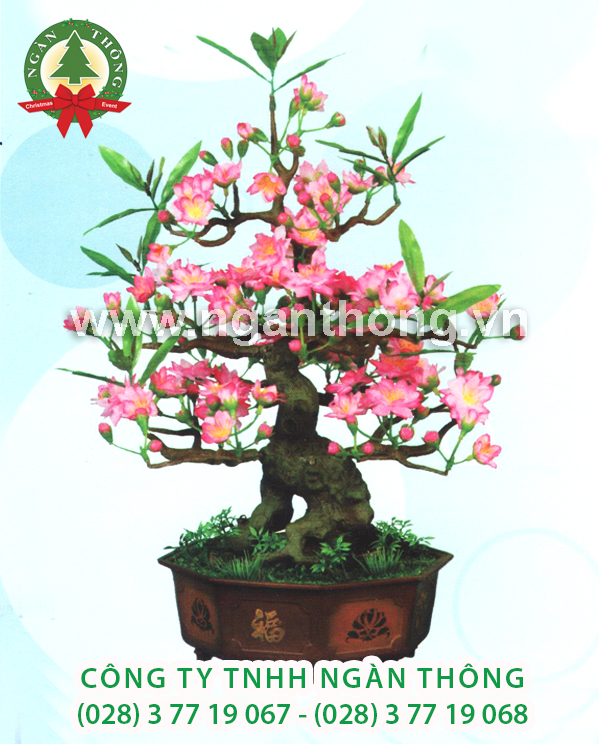 CÂY ĐÀO BONSAI BD3 (52CM)