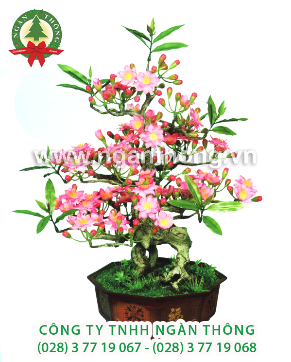 CÂY ĐÀO BONSAI BD4 (52CM)