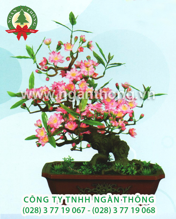 CÂY ĐÀO BONSAI BD7 (50CM)