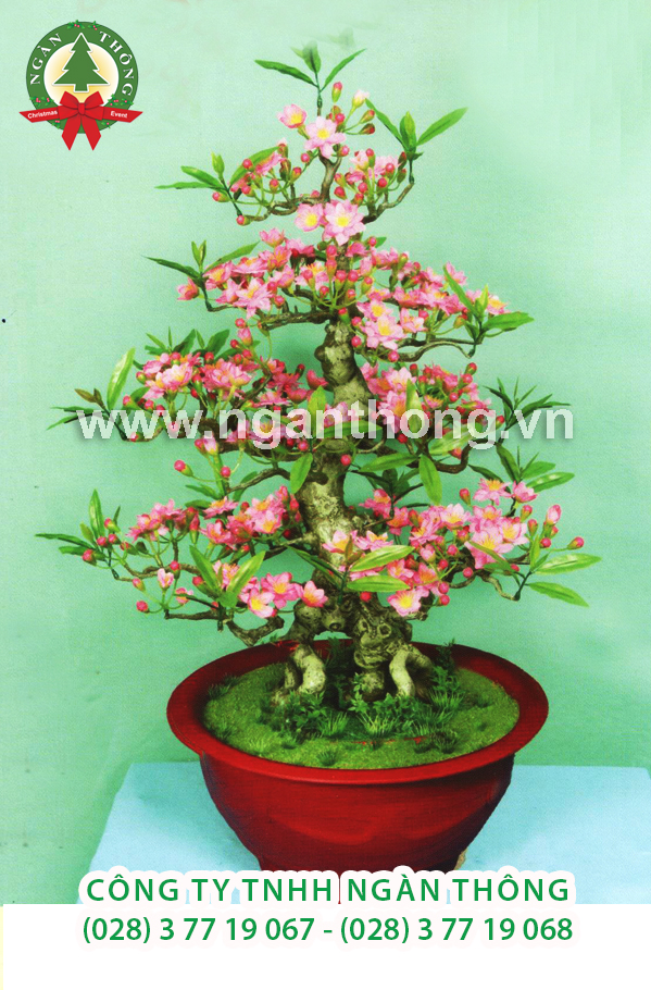 CÂY ĐÀO BONSAI BD11 (85CM)