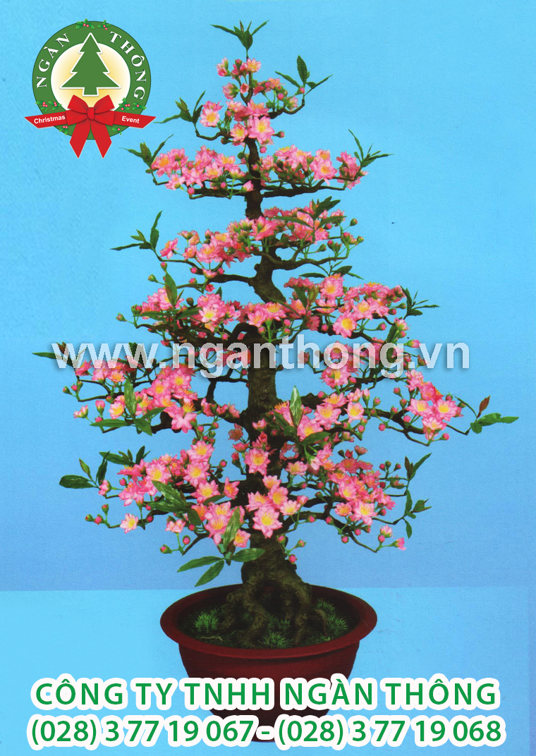 CÂY ĐÀO BONSAI BD15 (115CM)