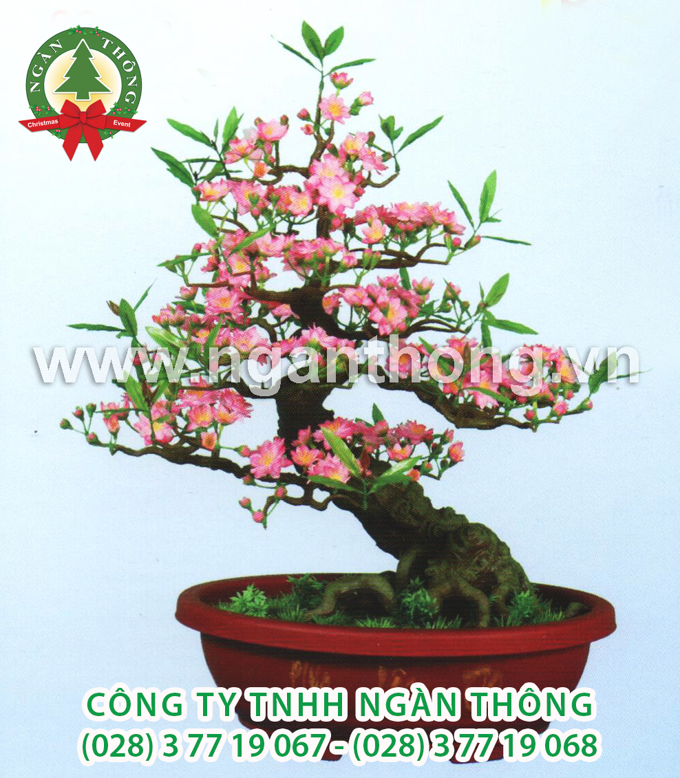 CÂY ĐÀO BONSAI BD18 (80CM)