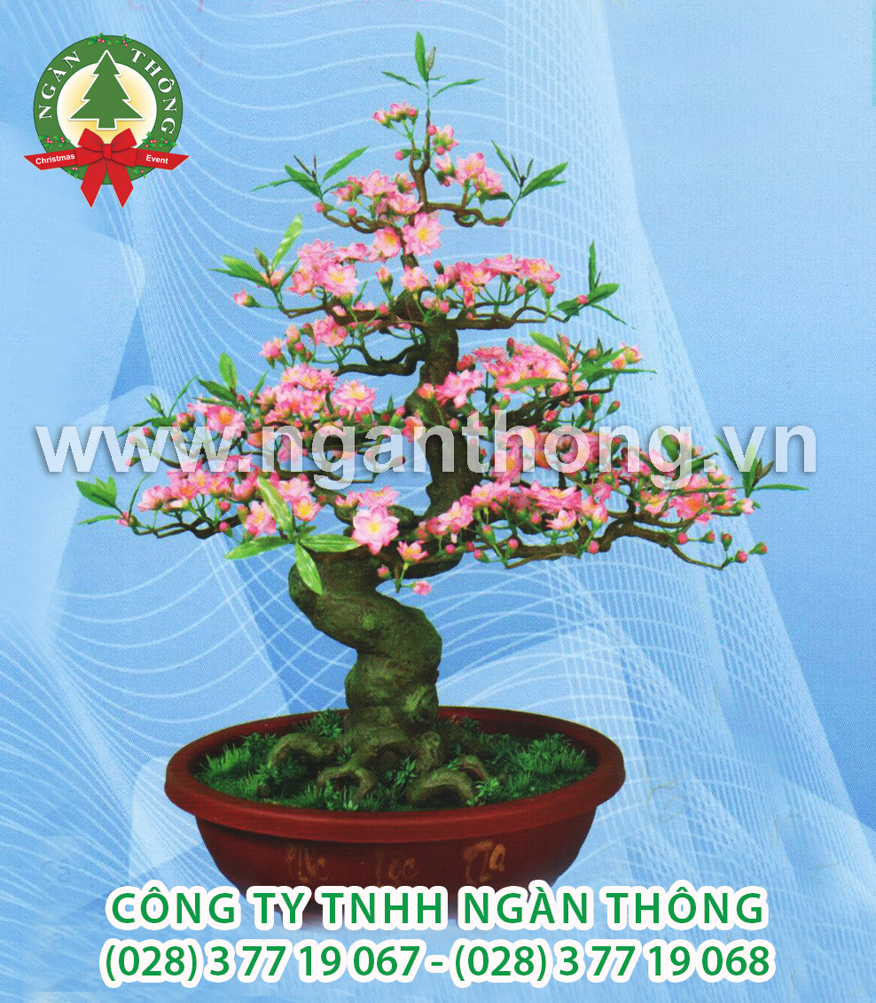 CÂY ĐÀO BONSAI BD19 (90CM)