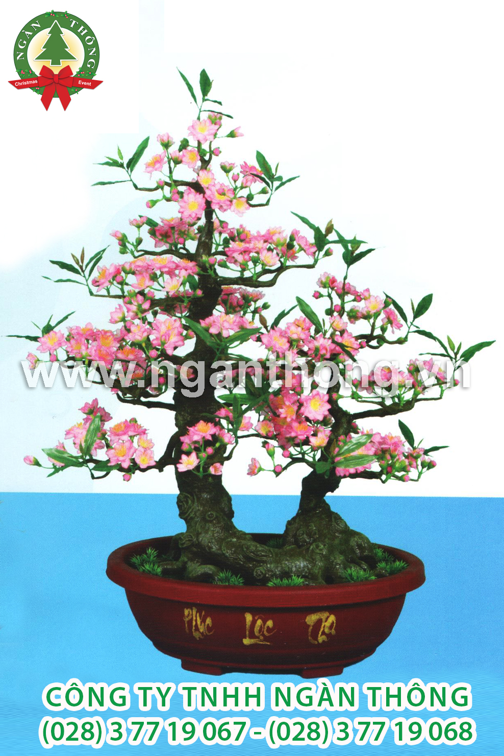 CÂY ĐÀO BONSAI BD22 (95CM)