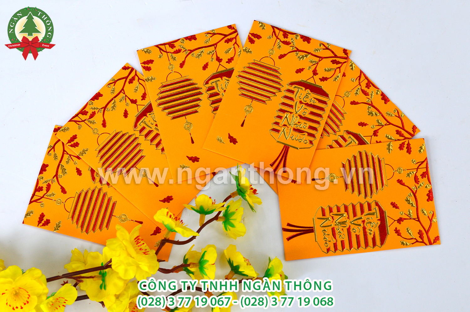 LÌ XÌ VÀNG NHỎ MS3