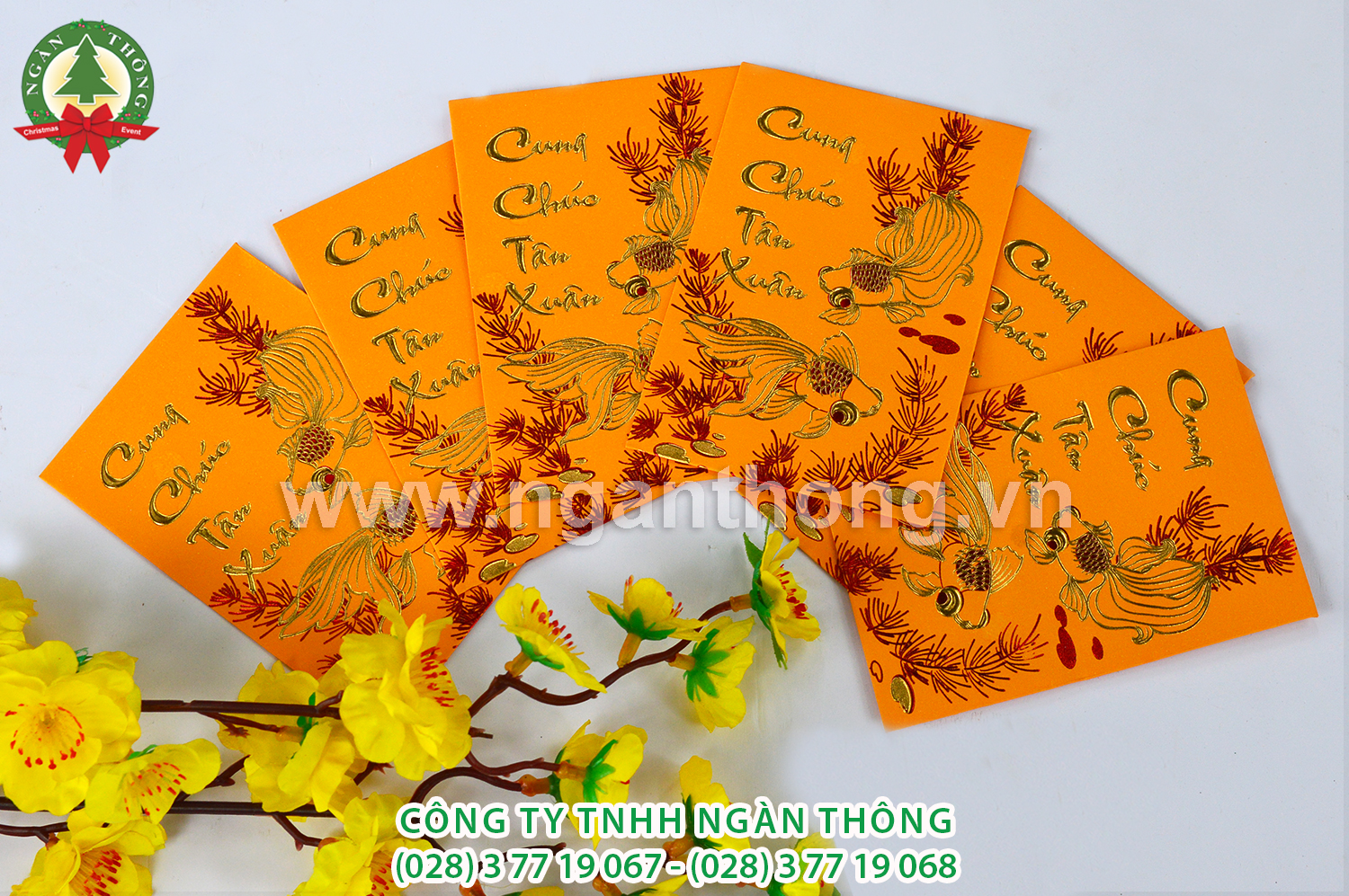 LÌ XÌ VÀNG NHỎ MS5