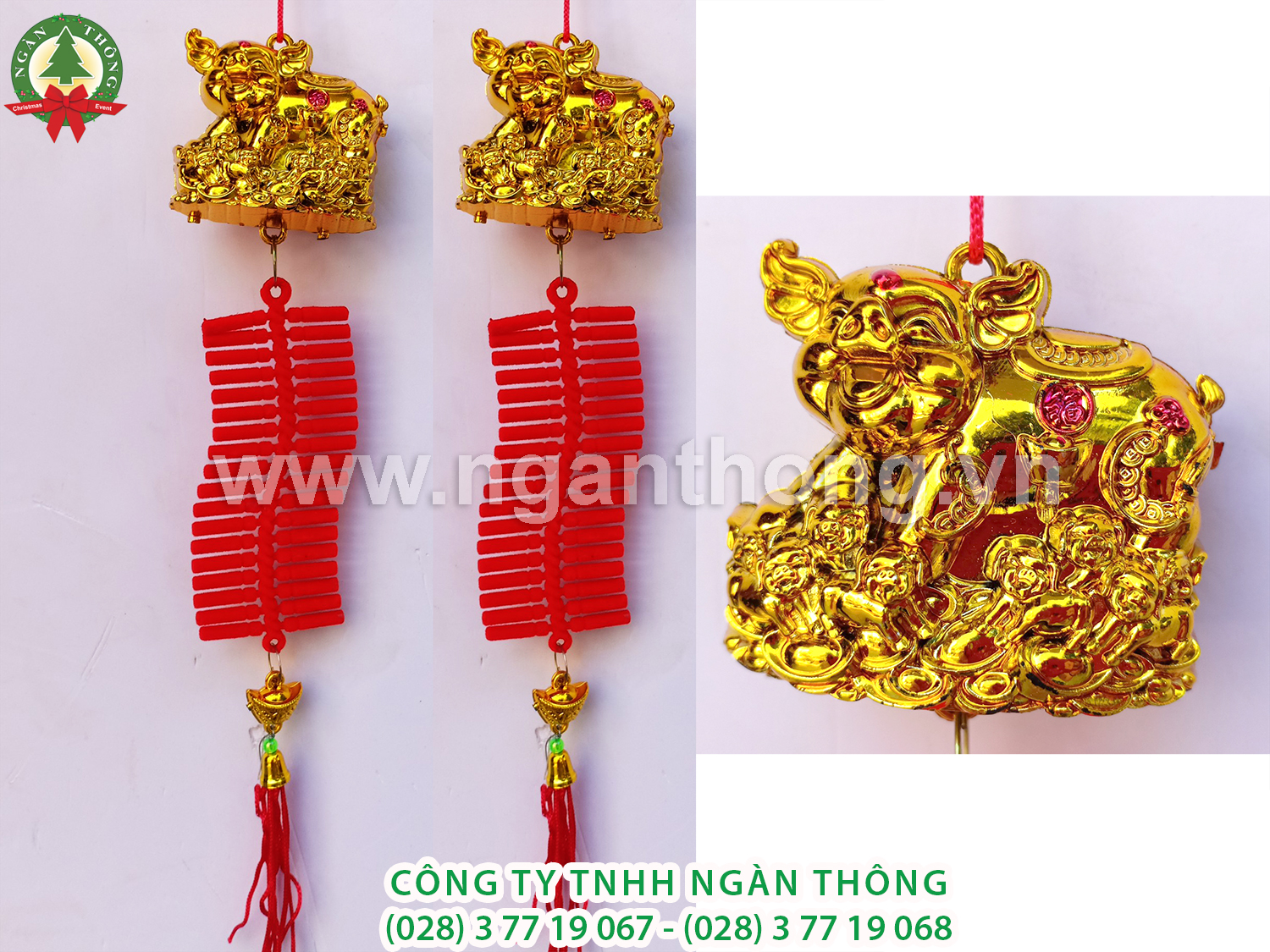 HEO VÀNG + PHÁO VĨ SỐ 2