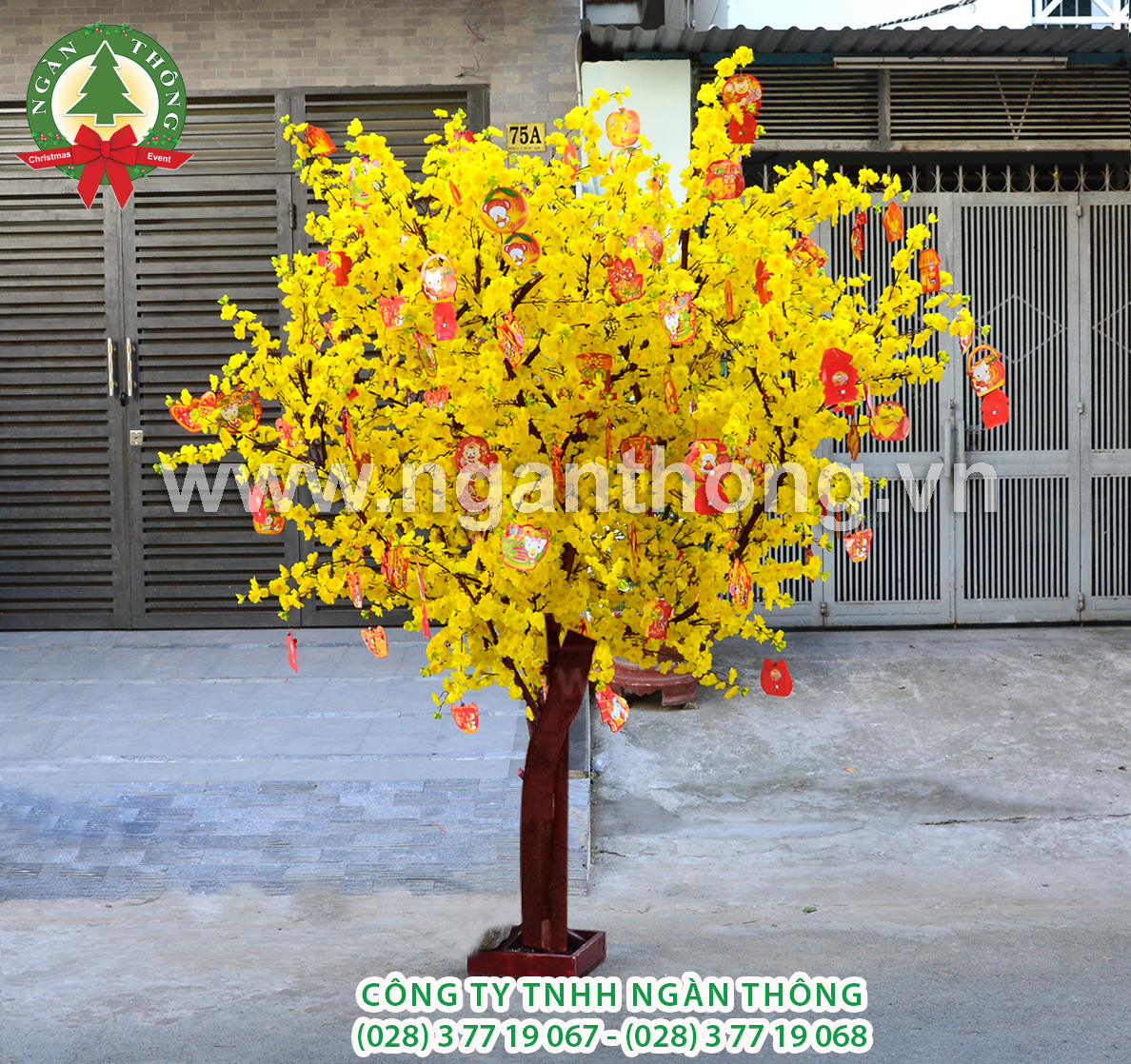 CÂY MAI THÂN GỖ HOA GIẢ MS17