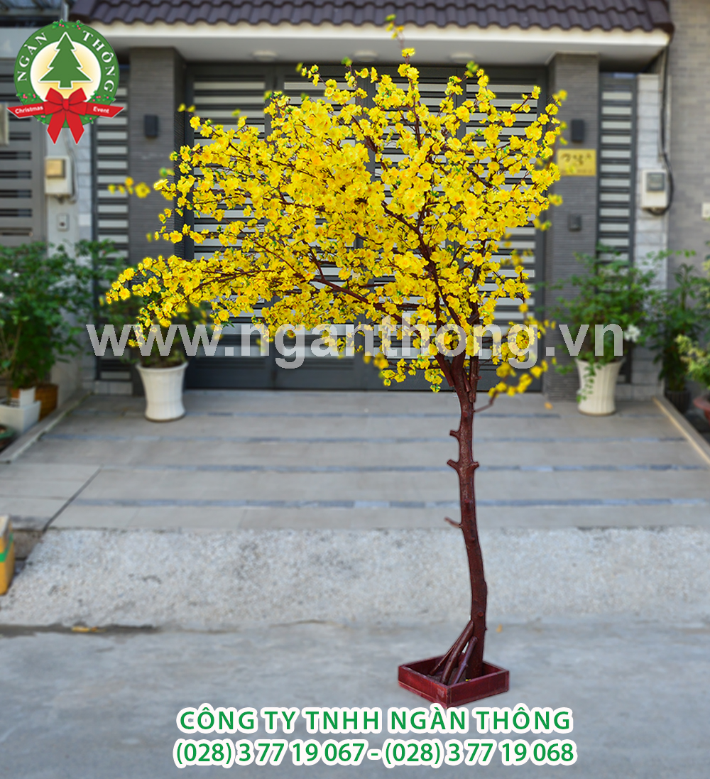 CÂY MAI THÂN GỖ HOA GIẢ MS20