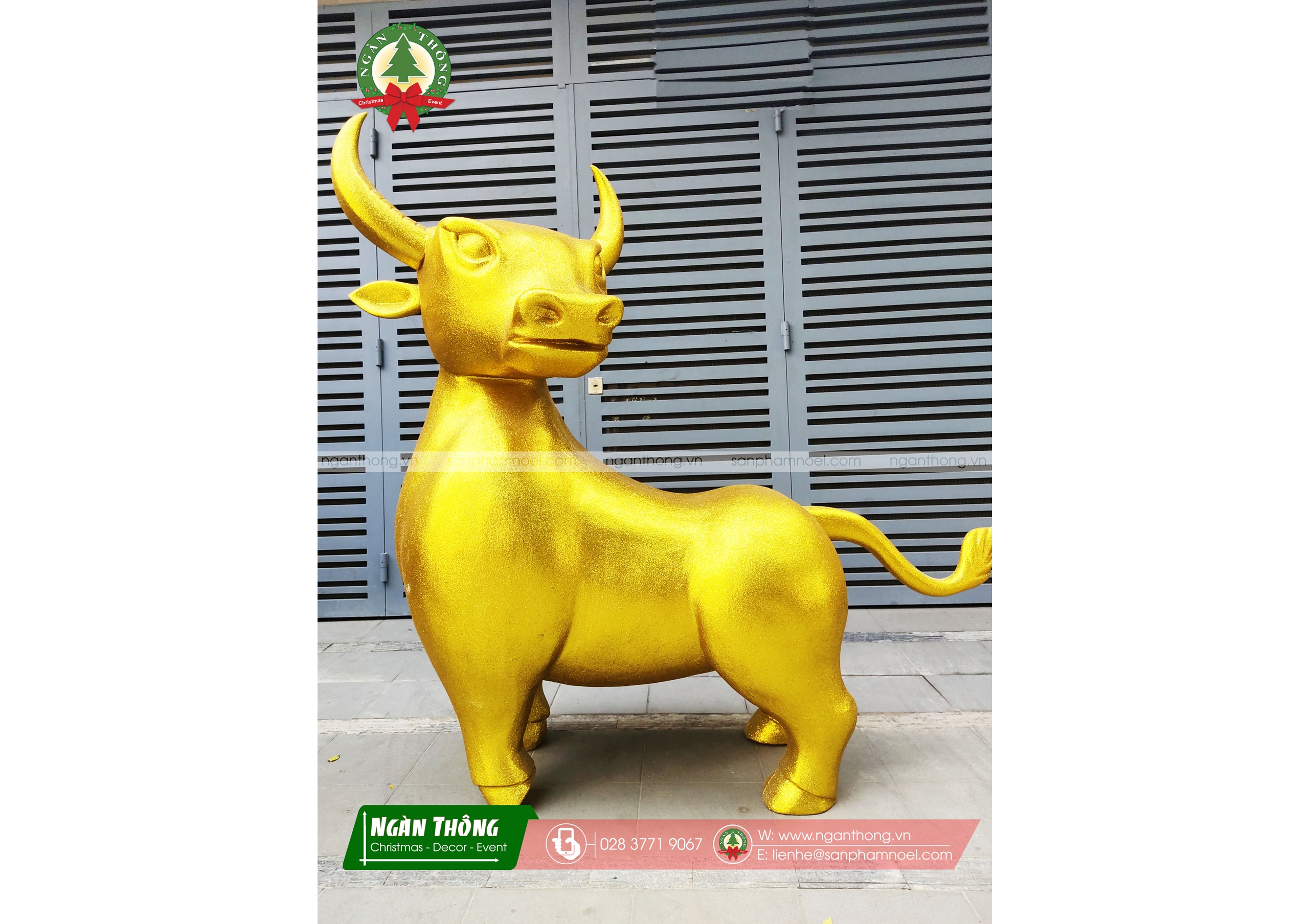 TRÂU ĐỨNG MS9
