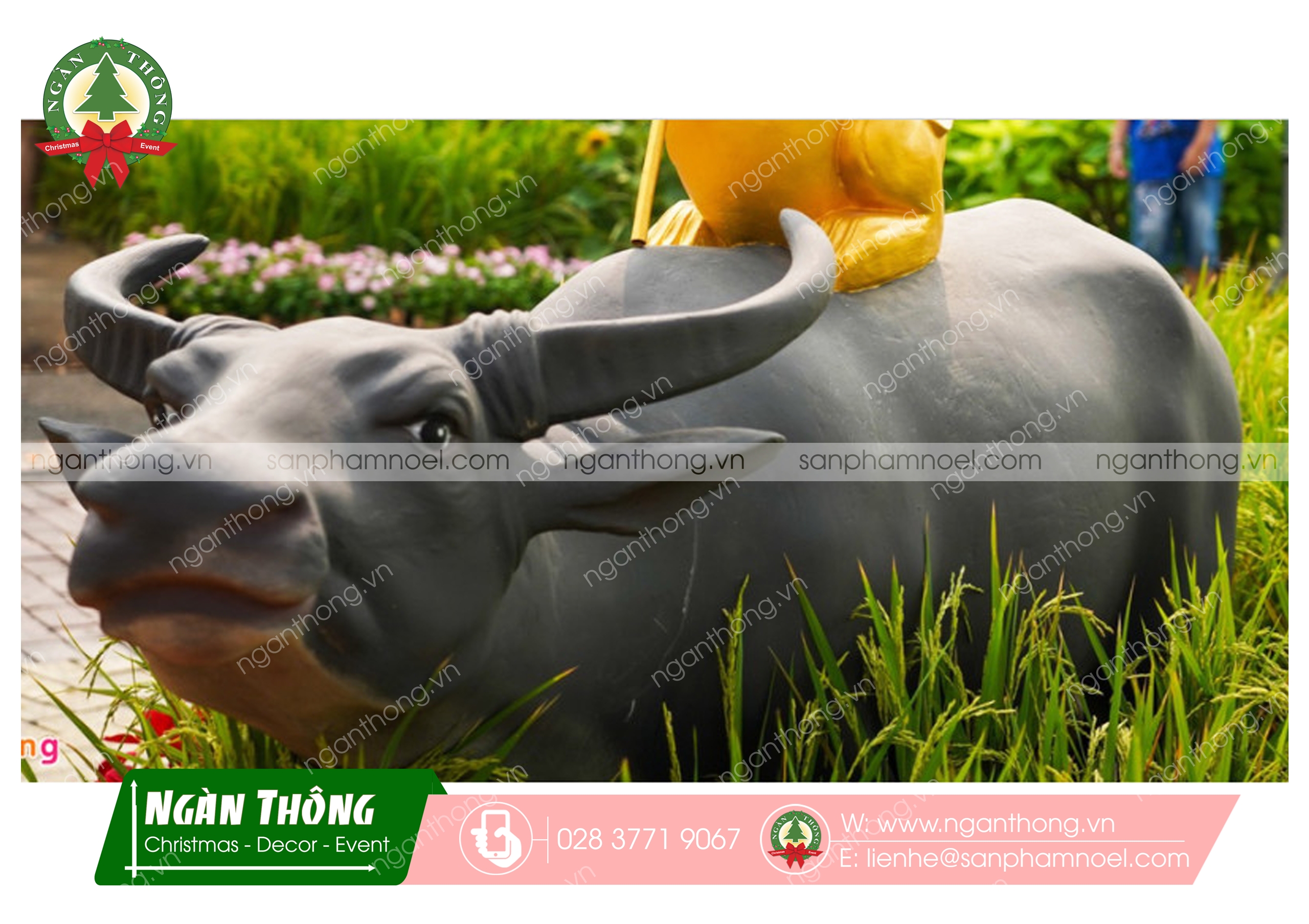 TRÂU ĐỨNG MS11