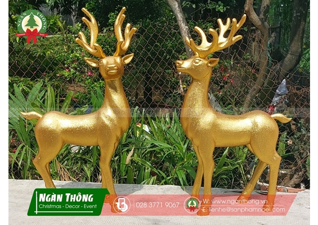 TUẦN LỘC ĐỨNG MS6 (KT VÀNG)