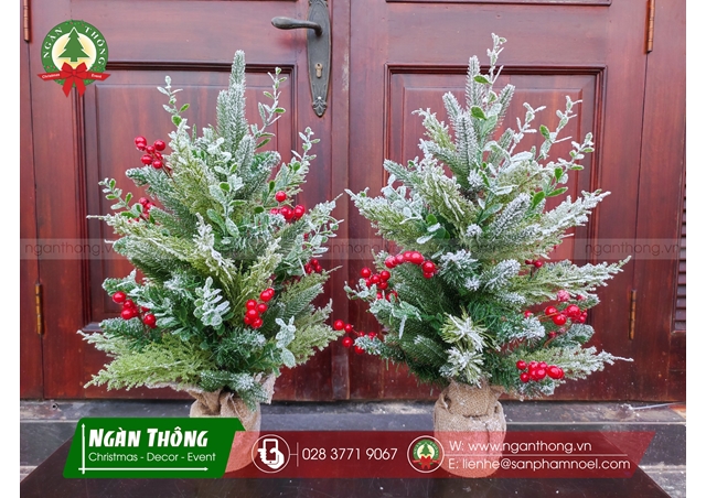 CÂY THÔNG MINI LÁ TRANG TRÍ PHỦ TUYẾT GẮN TRÁI ĐỎ