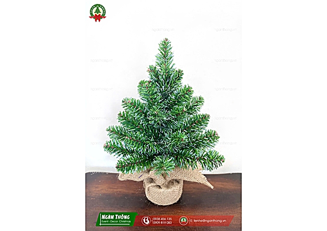 CÂY THÔNG MINI ĐẦU NHỌN SƠN BÌA