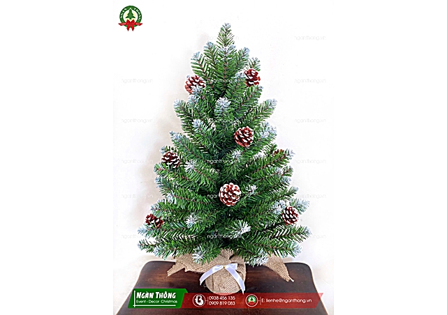 CÂY THÔNG MINI ĐẦU NHỌN PHUN SƠN GẮN TRÁI THÔNG