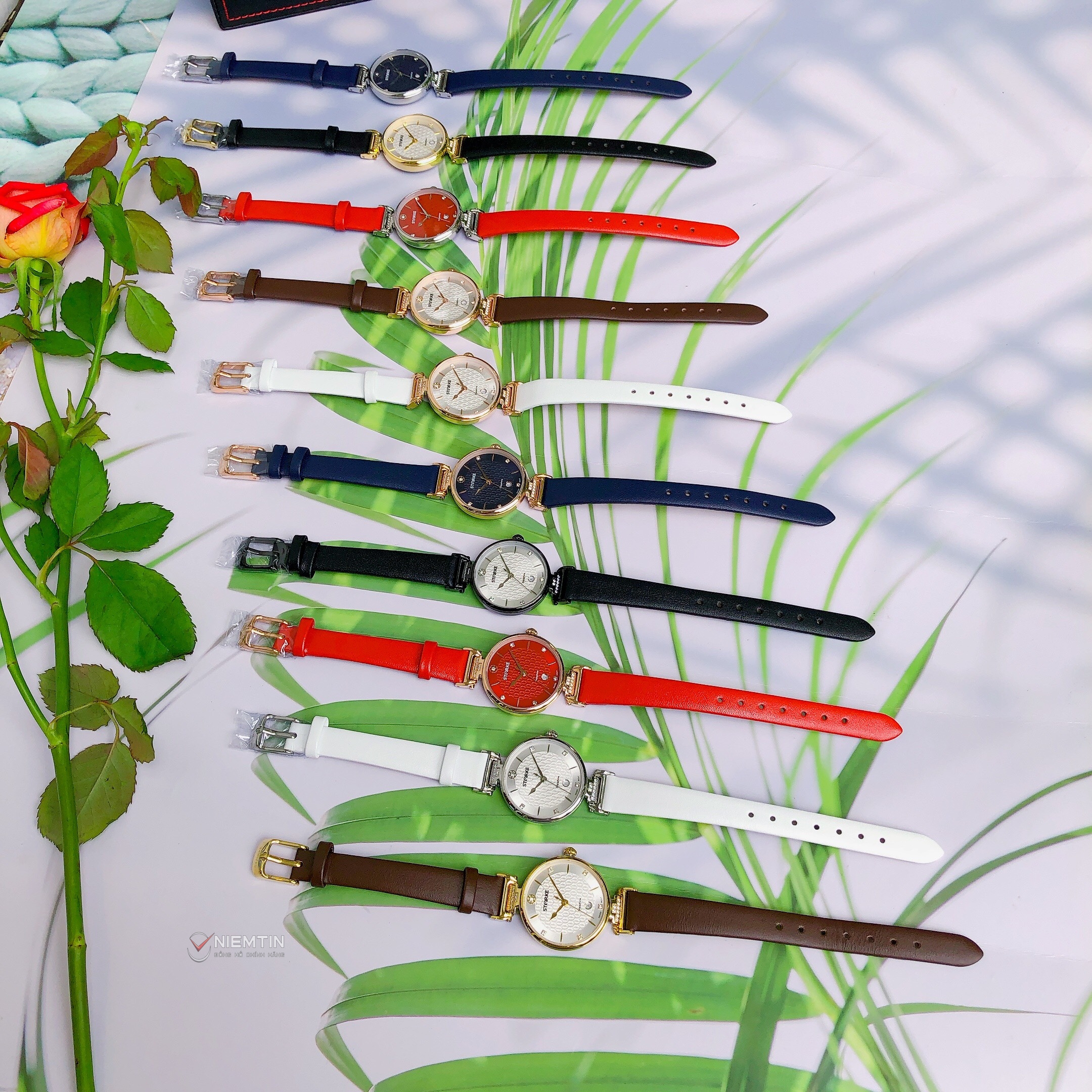 z2483773249716_c3125d819986ee1ee1d31e7ce6af8152