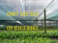 Công dụng lưới che nắng