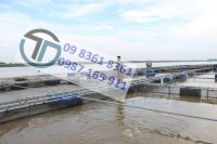 Nuôi cá lồng trên sông, hồ chứa