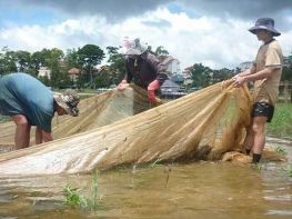LƯỚI VÉT CÁ