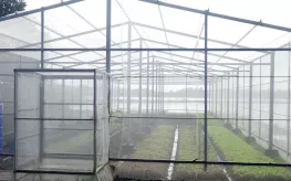 NHÀ LƯỚI TRỒNG RAU SẠCH