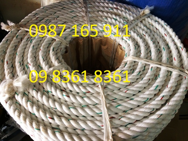 Dây bô