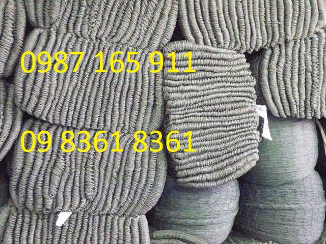 717523174556