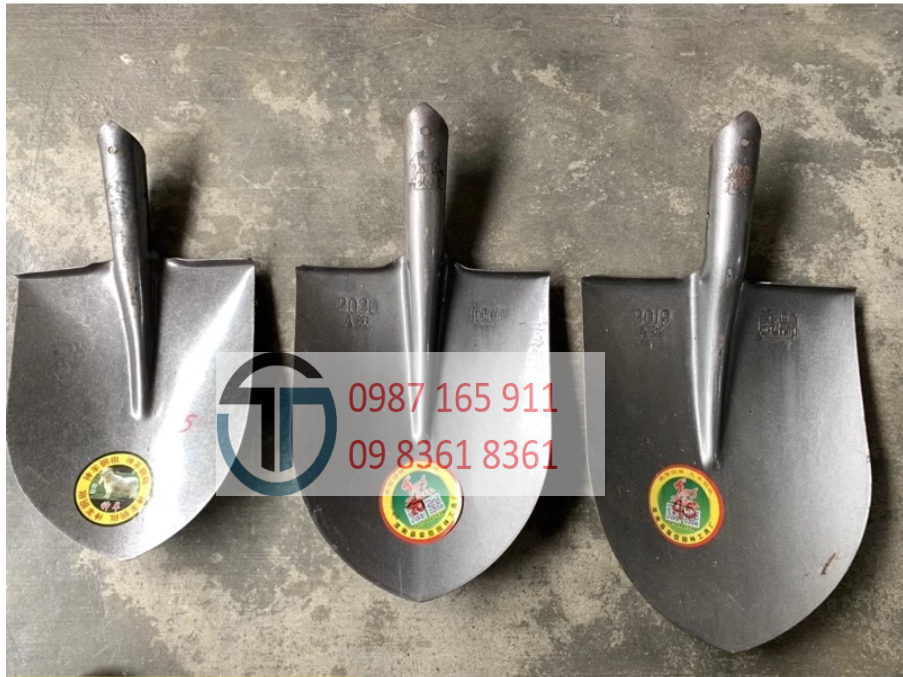 Ảnh chụp màn hình 2026-01-26 140424