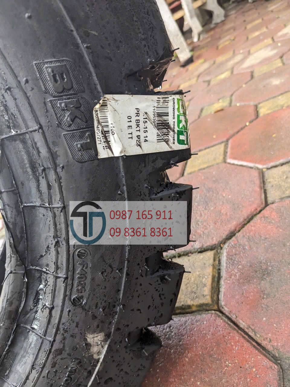 photo_2026-03-05_06-55-56