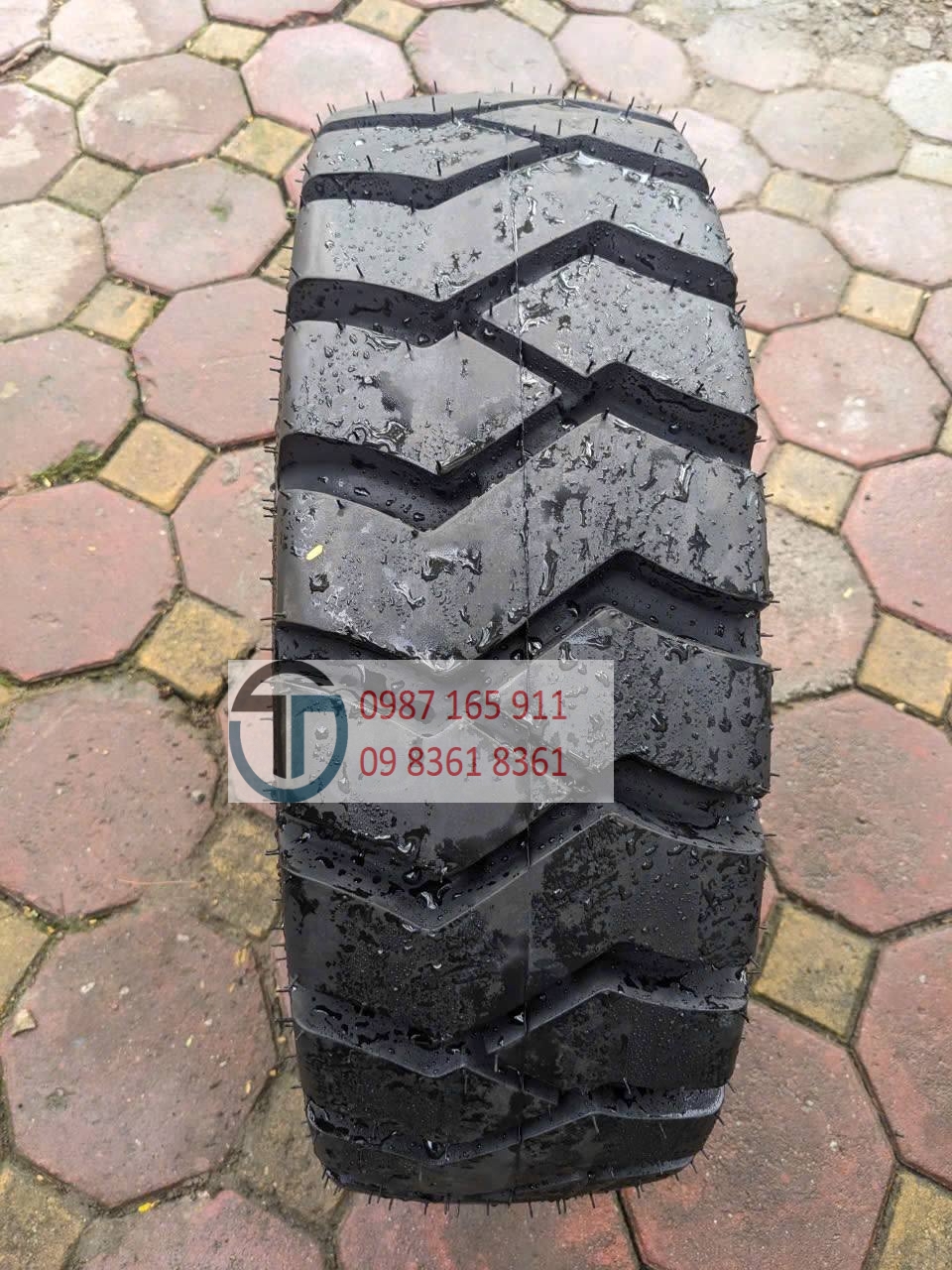 photo_2026-03-05_06-55-53