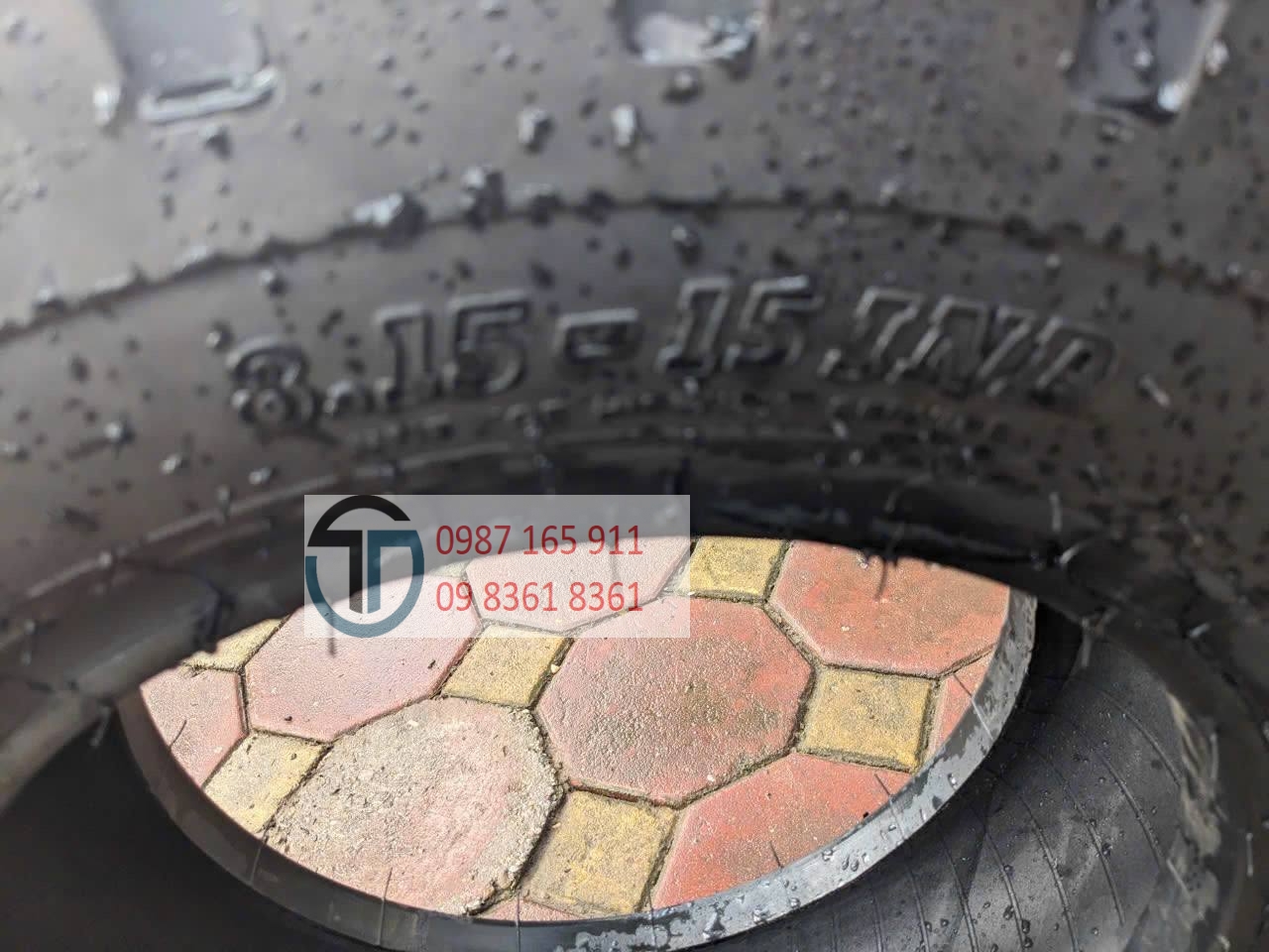 photo_2026-03-05_06-55-50