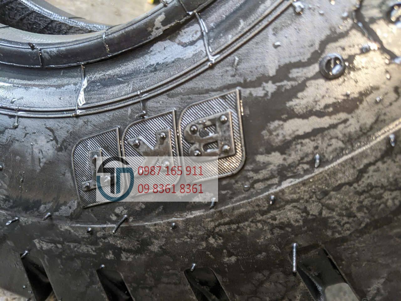 photo_2026-03-05_07-01-25