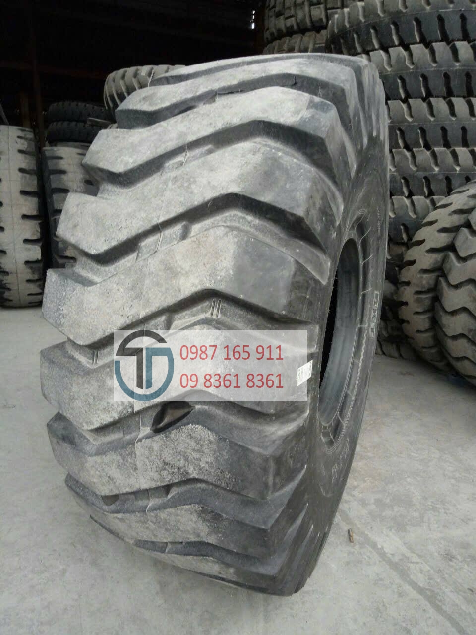 photo_2026-03-05_07-04-05