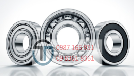 Vòng bi 6207 LYC