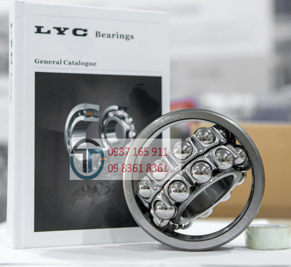 Vòng bi 6313 LYC