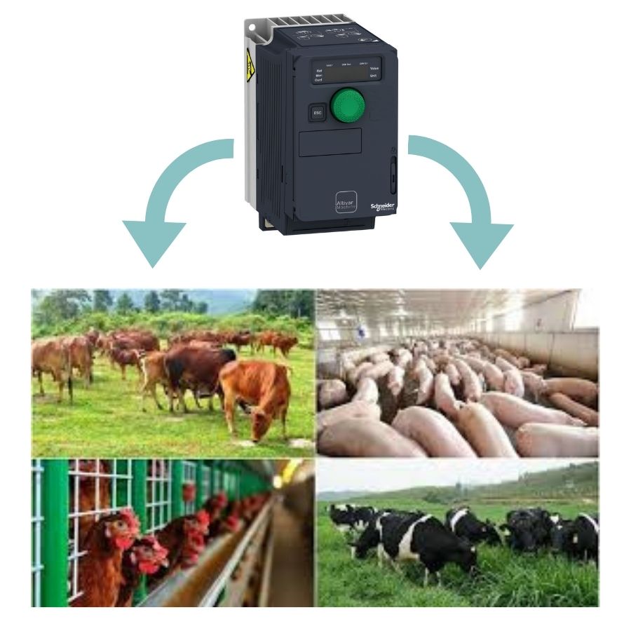 biến tần trong trang trại chăn nuôi