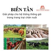 BIẾN TẦN - GIẢI PHÁP CHO HỆ THỐNG THÔNG GIÓ TRANG TRẠI CHĂN NUÔI