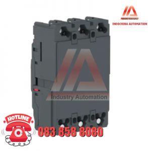 MCCB TYPE H 2P 100A EZC250H2100