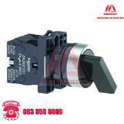 CÔNG TẴC XOAY 3 VỊ TRÍ 2NO XA2EJ33
