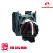 CÔNG TÁC XOAY 2NO BLACK XB4BD33