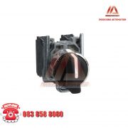 CÔNG TÁC XOAY 2NO BLACK XB4BD53