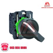 CÔNG TẮC XOAY 1NO BLACK XB5AJ21