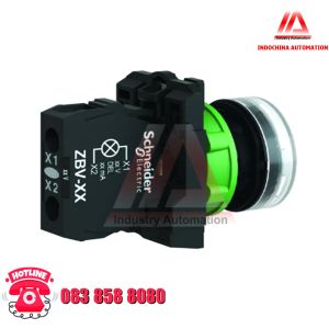 ĐÈN BÁO XB5 PHI 22 WHITE XB5AVM1