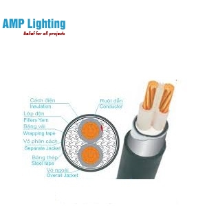 Dây cáp 2x10 Cu/XLPE/PVC/DSTA/PVC-0.6/1kV