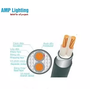 Dây cáp 2x6 Cu/XLPE/PVC/DSTA/PVC-0.6/1kV