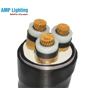 Dây cáp 3x6 Cu/XLPE/PVC/DSTA/PVC-0.6/1kV
