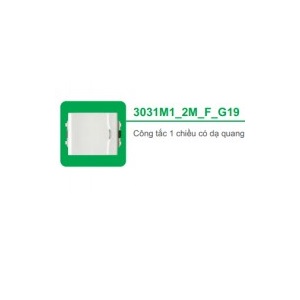 CÔNG TẮC 1 CHIỀU CÓ DẠ QUANG, SIZE M 3031M1_2M_F_G19