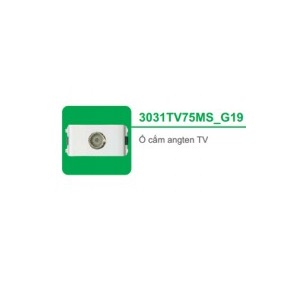 Ổ CẮM ANGTEN TV 3031TV75MS_G19