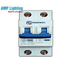 APTOMAT 2 CỰC DÒNG CẮT 1000A/50/63A RA2.50/63A2P ROMAN